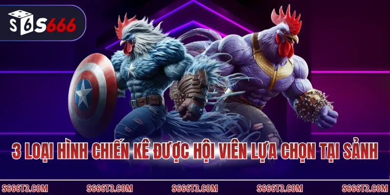 3 loại hình chiến kê được hội viên lựa chọn tại sảnh