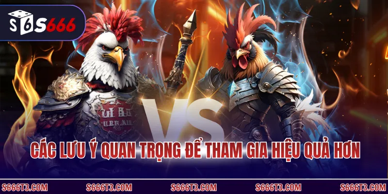 Các lưu ý quan trọng để tham gia hiệu quả hơn