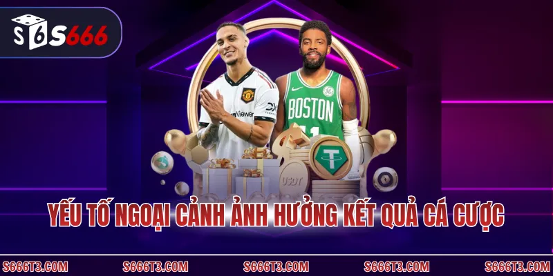  Yếu tố ngoại cảnh ảnh hưởng kết quả cá cược